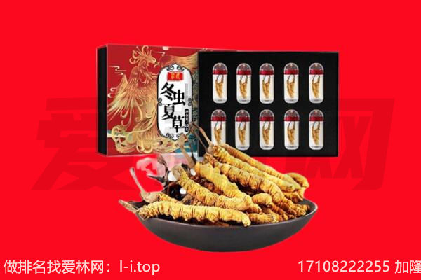 甘孜州泸定回收虫草.jpg
